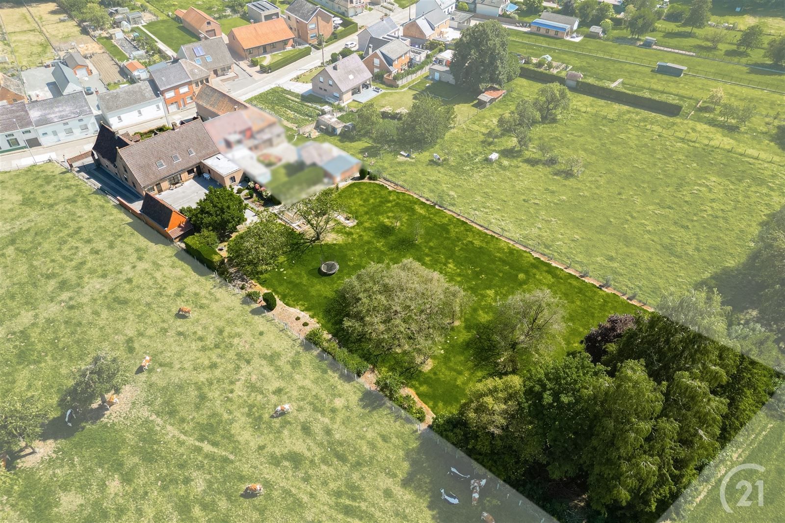 Dubbele gezinswoning of woning met praktijkruimte op 43are90 foto 2