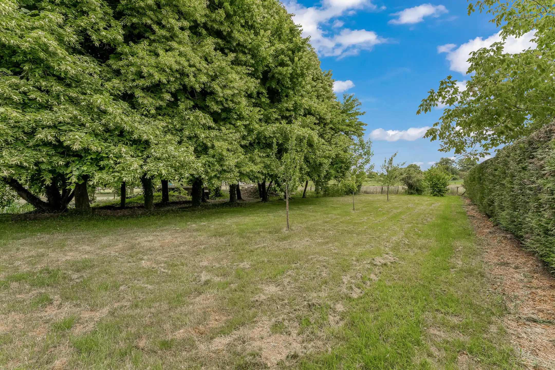 Vierkantshoeve met 3 woningen te Valmeer foto 30