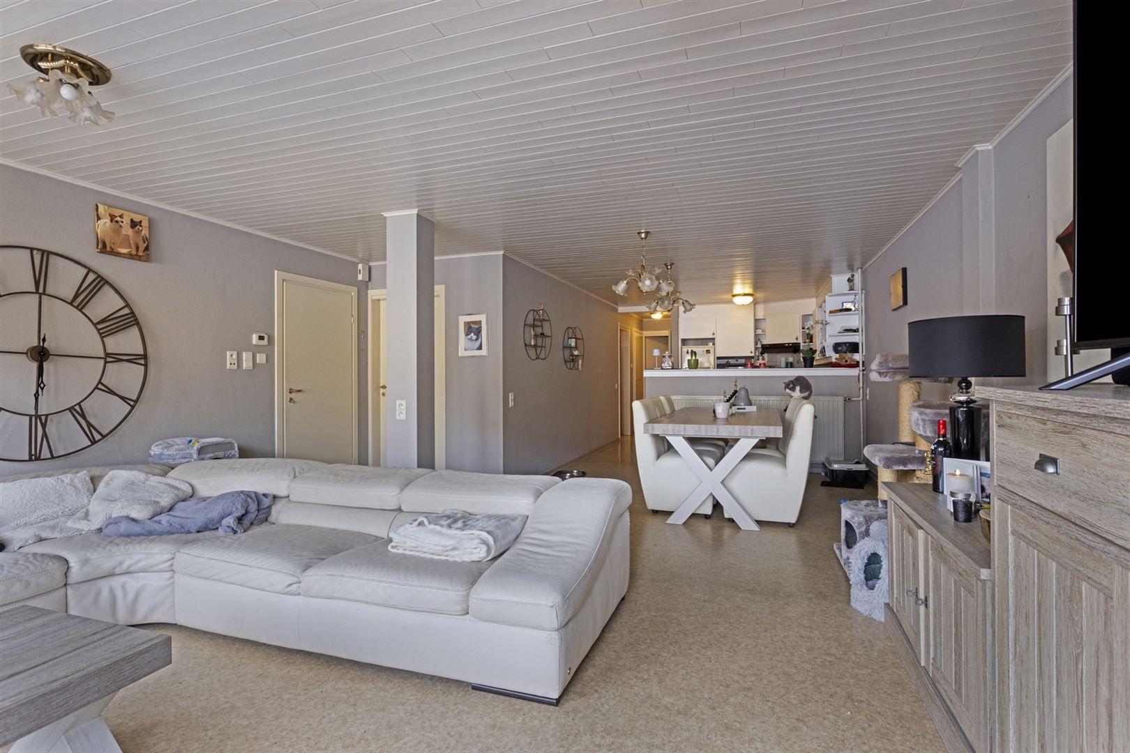 TE KOOP: Handelshuis op 7a33ca te Zonhoven! foto 3