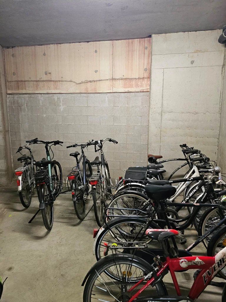 Prachtig gerenoveerd appartement nabij Quartier Bleu foto 25