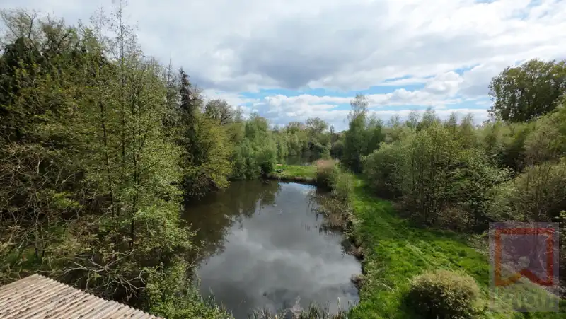 Unieke chalet met vijvers op ±1,4 ha! foto 3