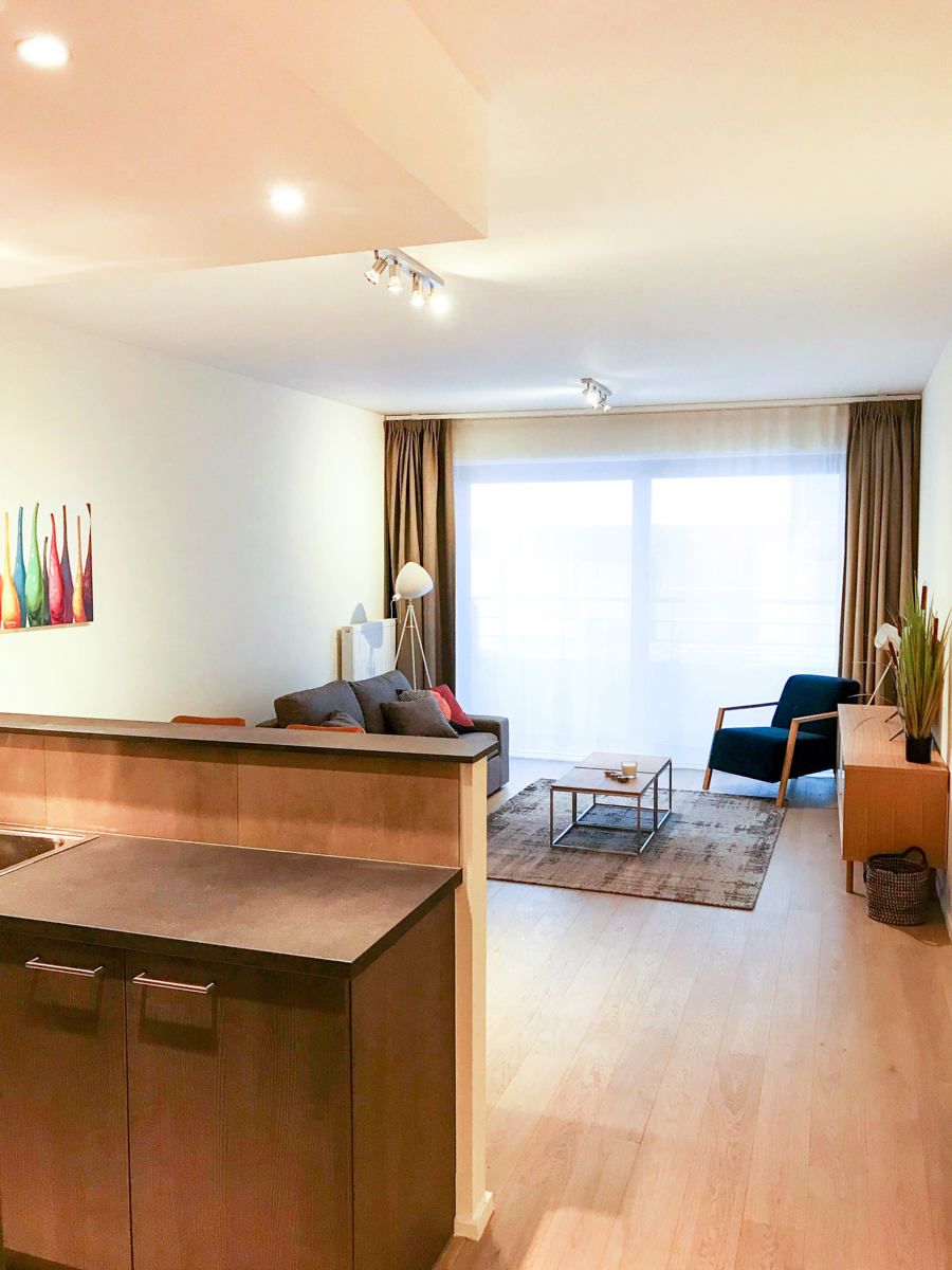 LICHTRIJK - Gemeubeld appartement met 2 slaapkamers (NAVO) foto 6