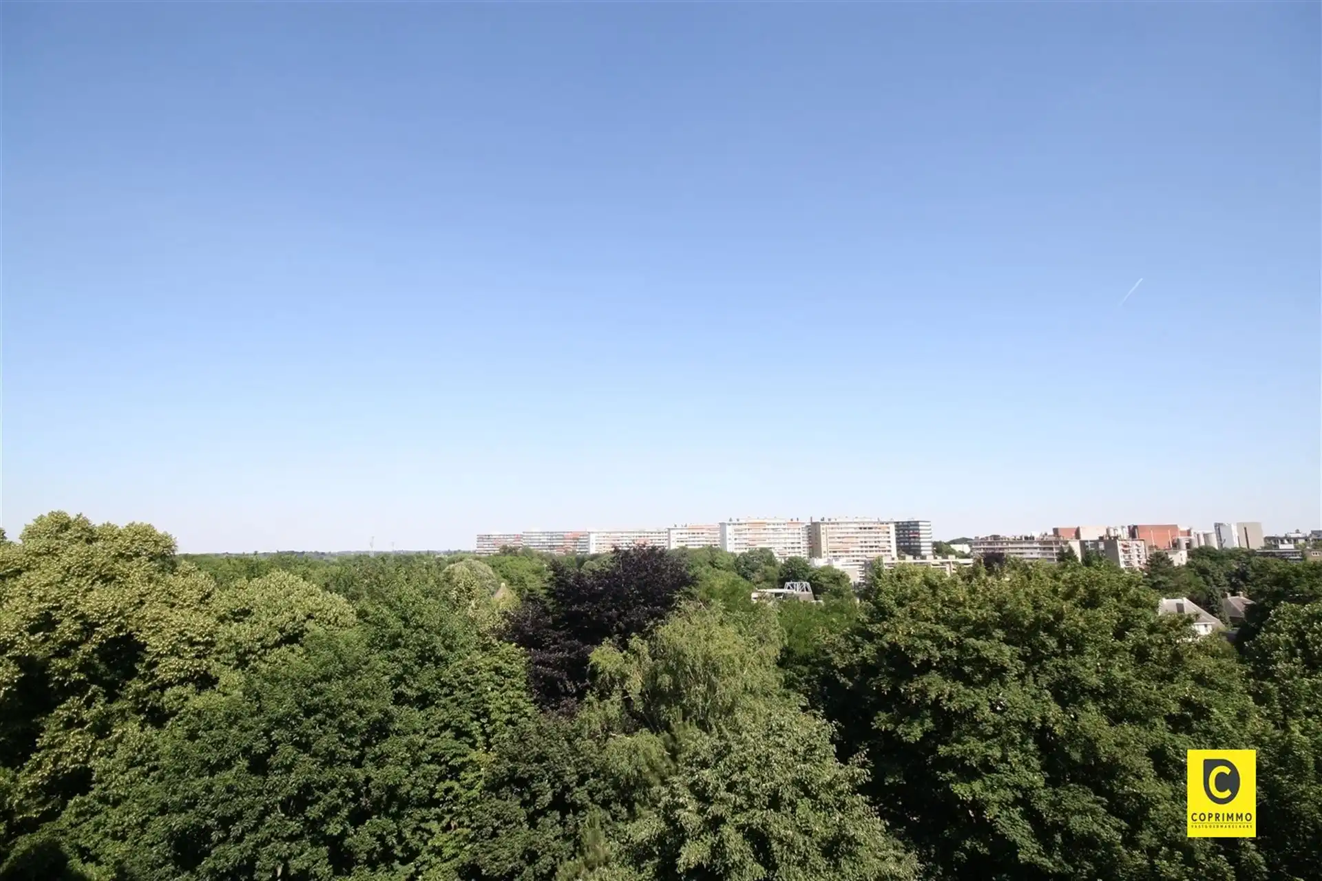 Gezellig 1 slpk app met ruim terras foto 3