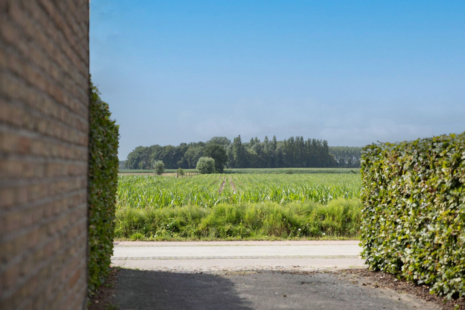 Bungalow met 2 slpks en bijgebouwen landelijk gelegen te Adegem foto 3