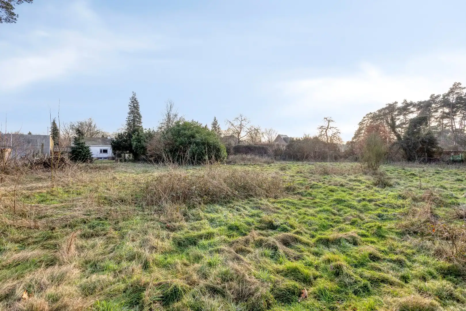 Gelijkvloerse woning met 2 slpks op 1.672 m² te Kasterlee ! foto 15