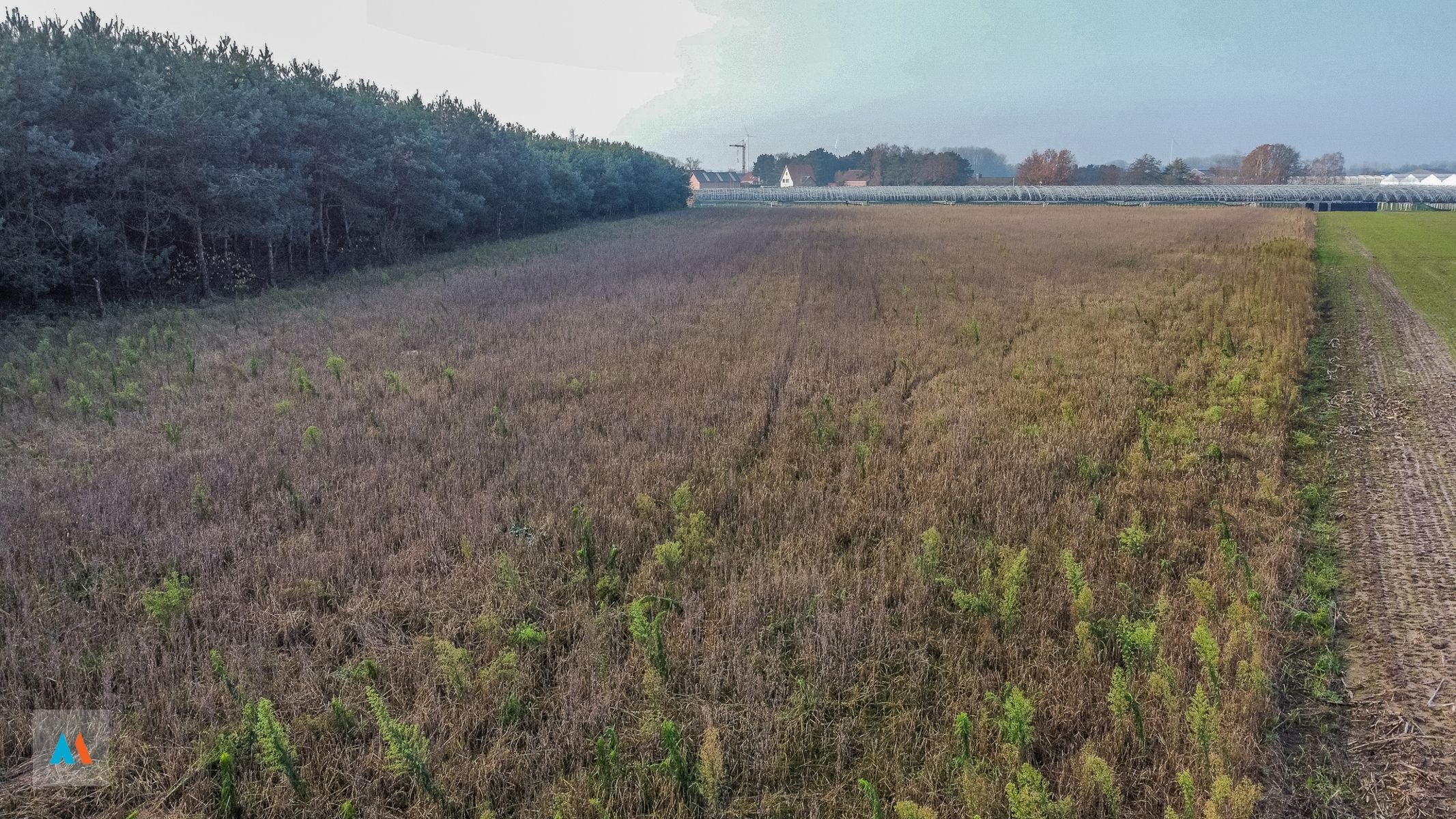 Gemengd perceel Landbouw- en bosgrond foto 7