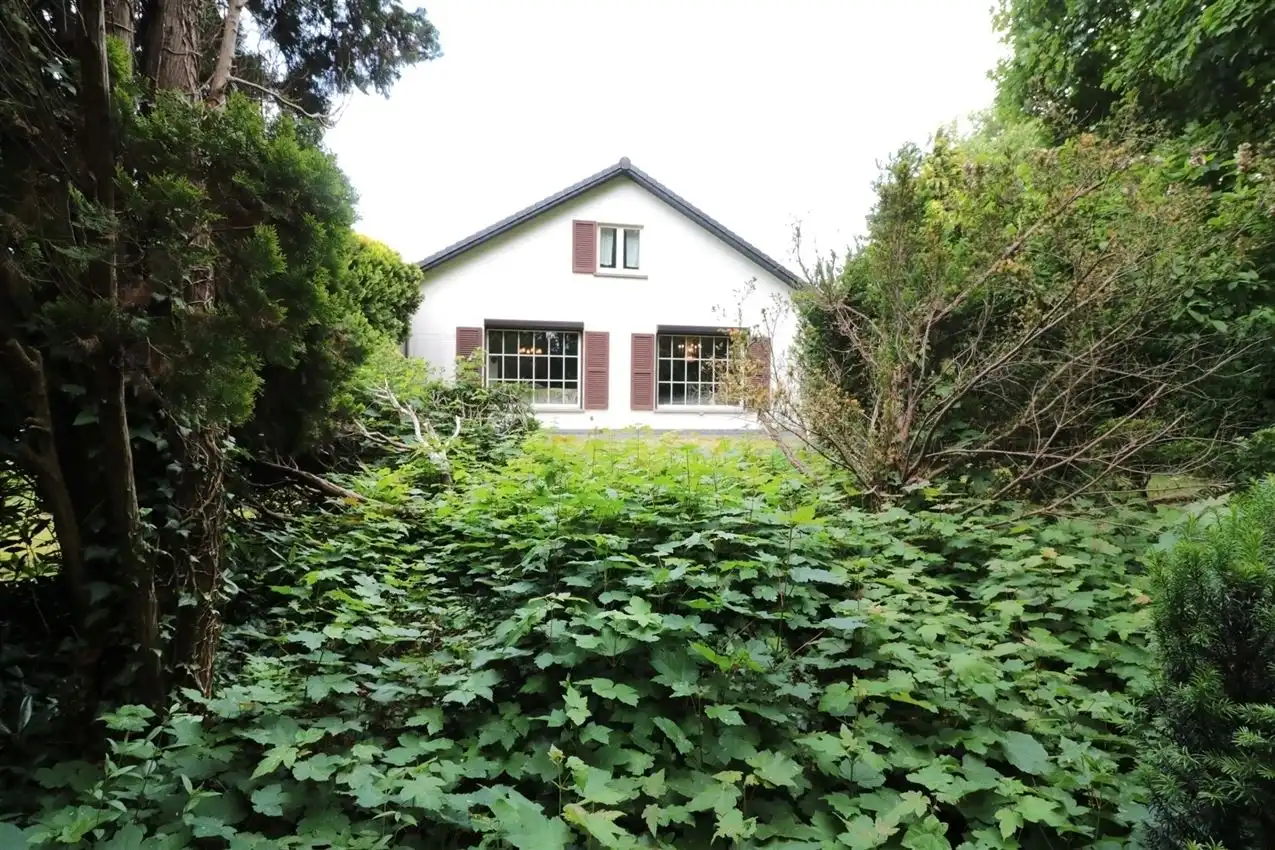 Comfort en licht zonder trappen, nabij station foto 21