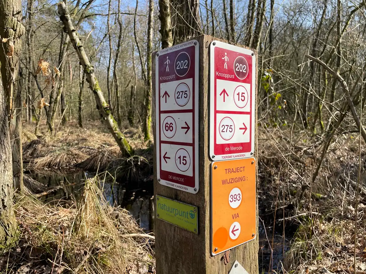 Verblijfsrecreatie met vijver foto 13