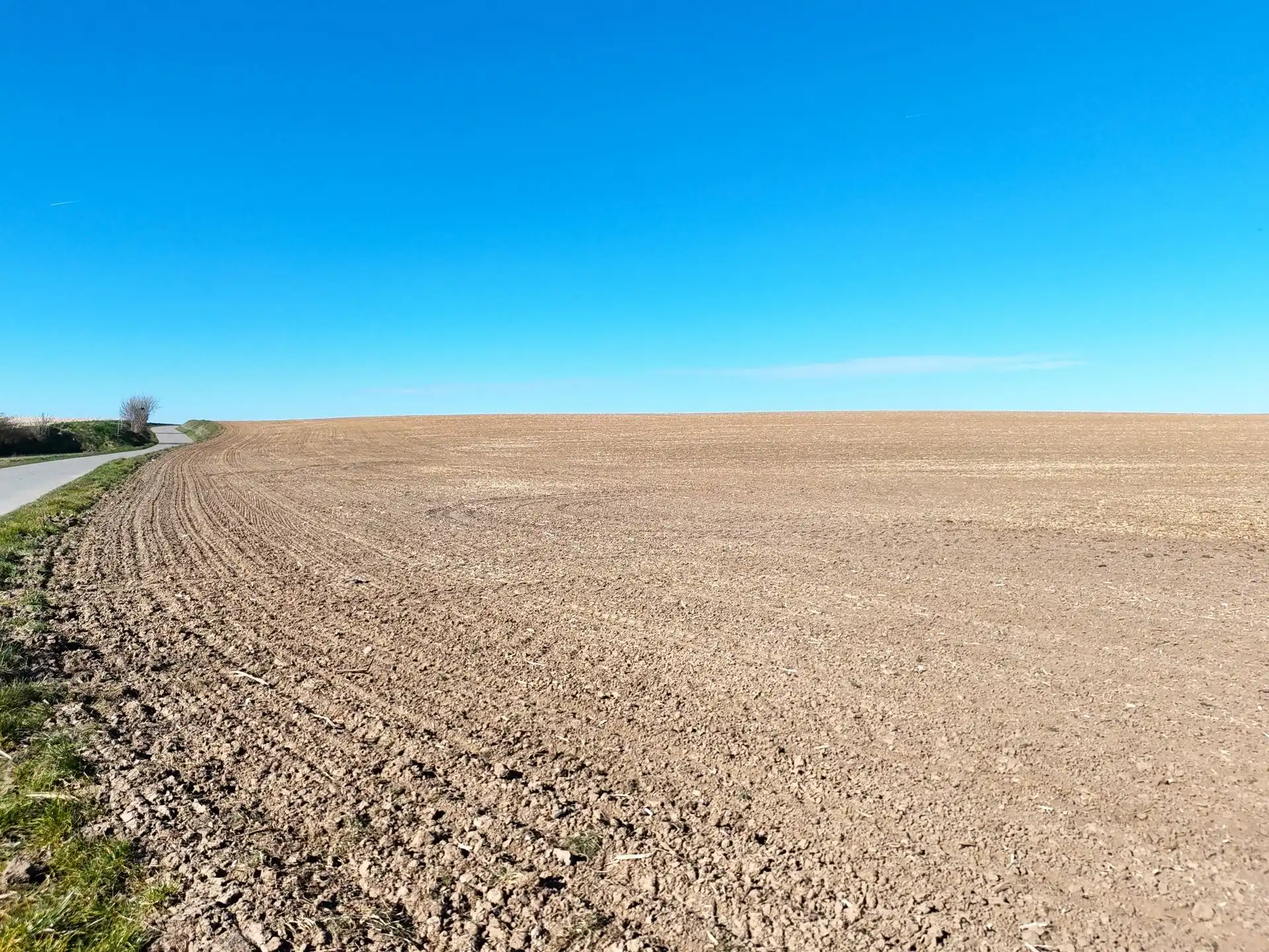 Groot perceel landbouwgrond - BLOK D foto 14