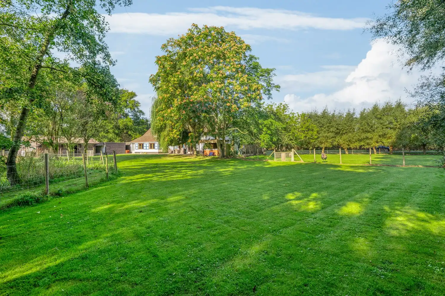 Charmante hoeve in een oase van groen foto 31