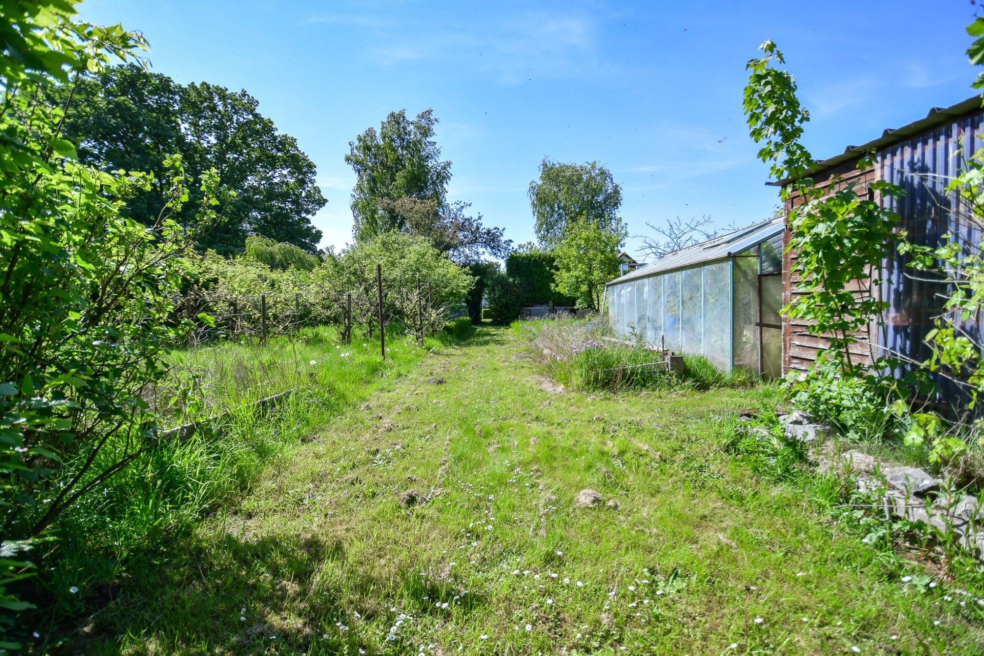 Woning en bijgebouw met prachtige idyllische tuin en uitweg op 2034 m² foto 23