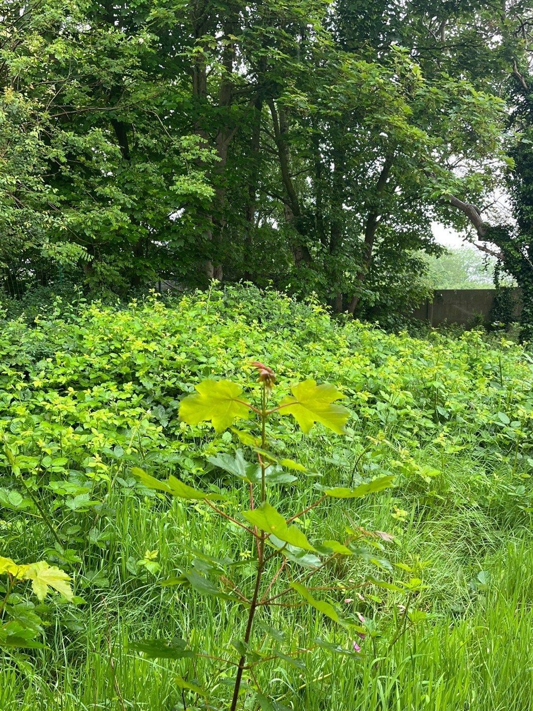 Interessant project in industrieel erfgoed foto 12