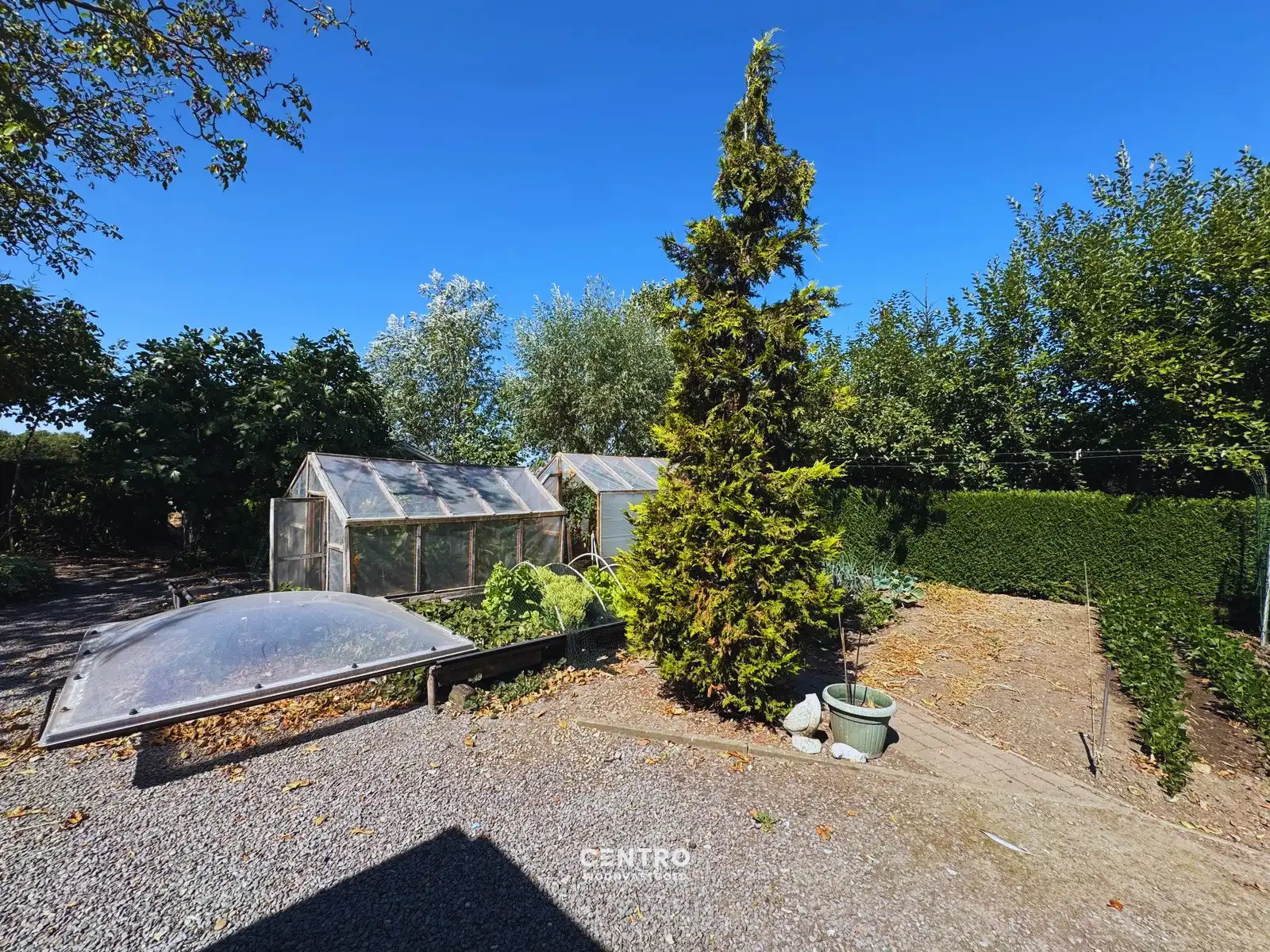 Idyllisch gelegen hoeve op circa 1 hectare te Maldegem! foto 5