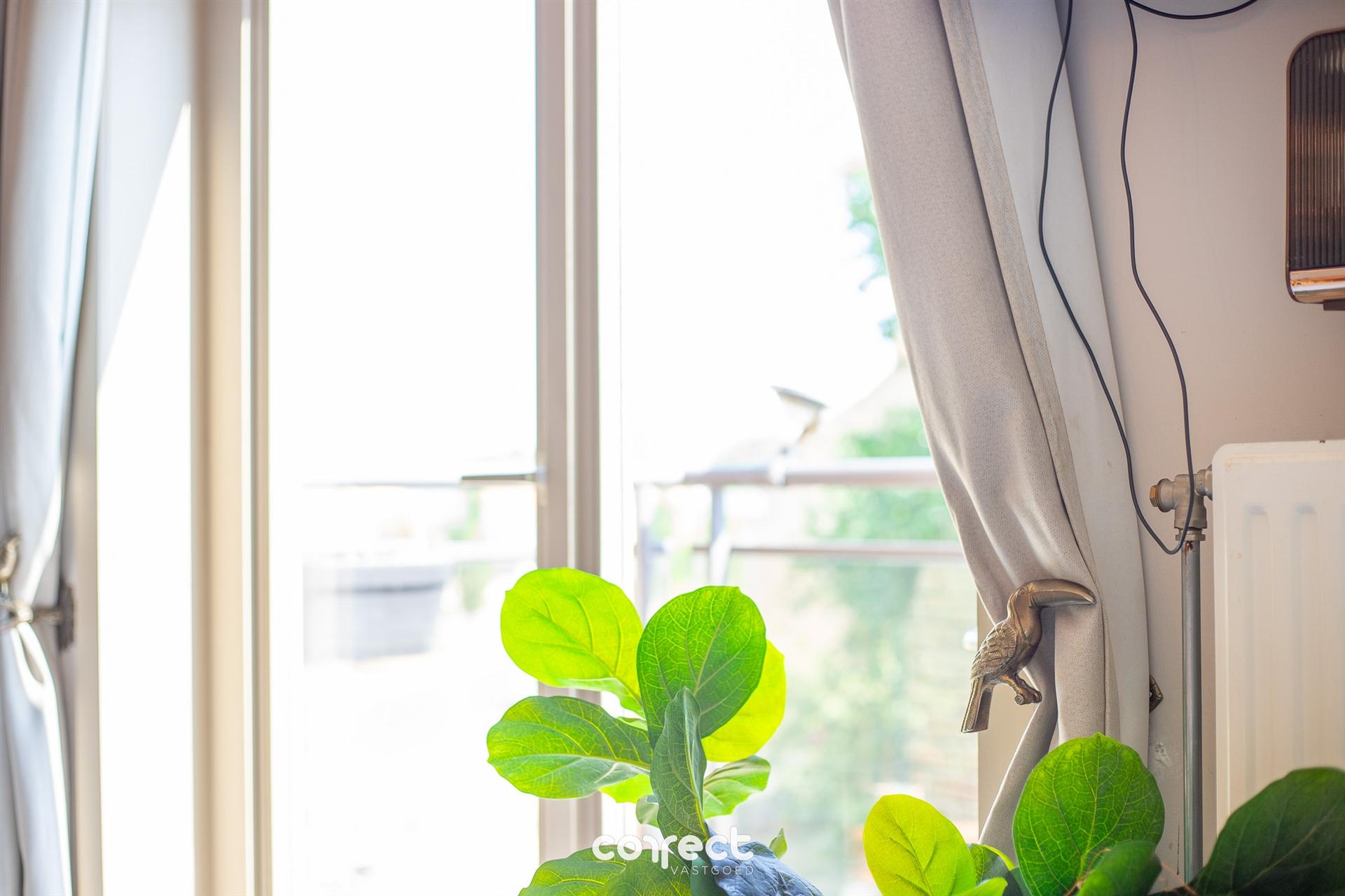 Instapklaar 1-slaapkamerappartement in Sint-Idesbald foto 19