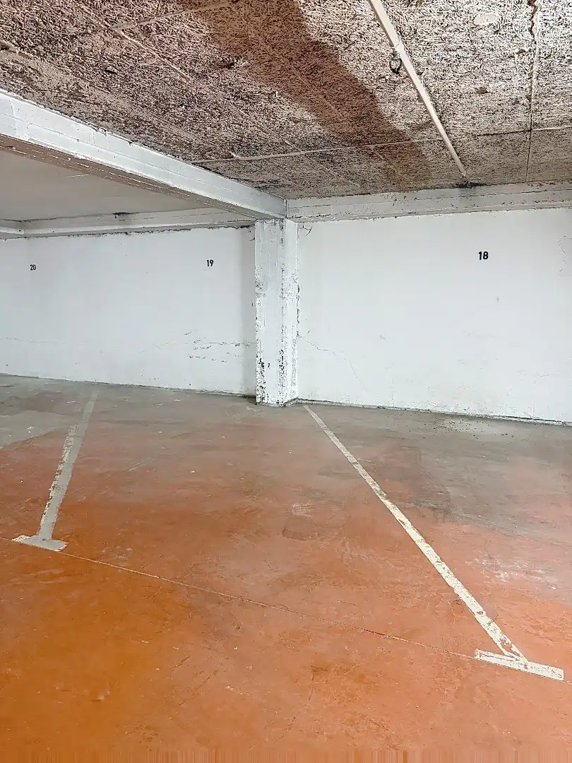 Gunstig gelegen parkeerplaats op100m van zee als van het mooie Leopoldpark!  foto 3