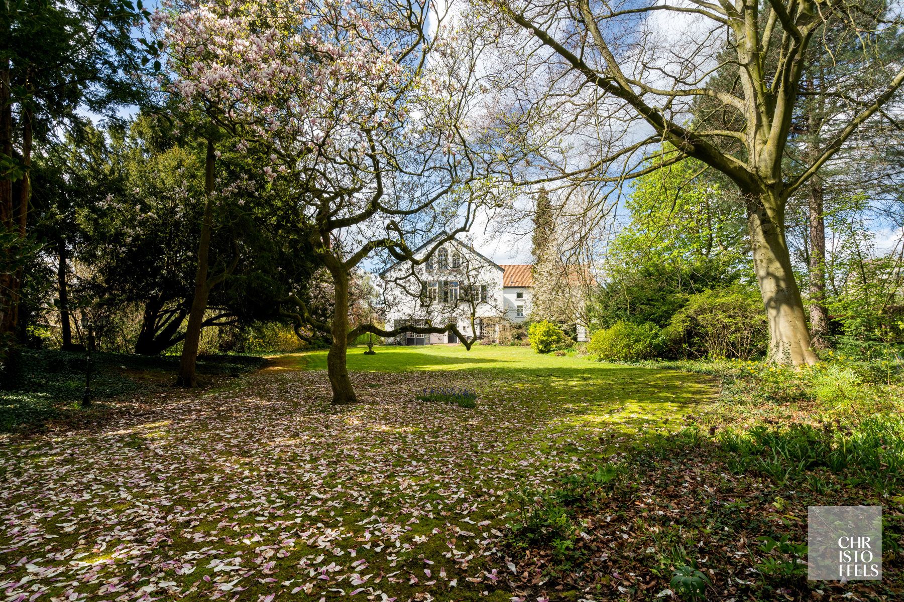 Monumentaal herenhuis (719m²) met uitzonderlijke parktuin van 2.118m² foto 10