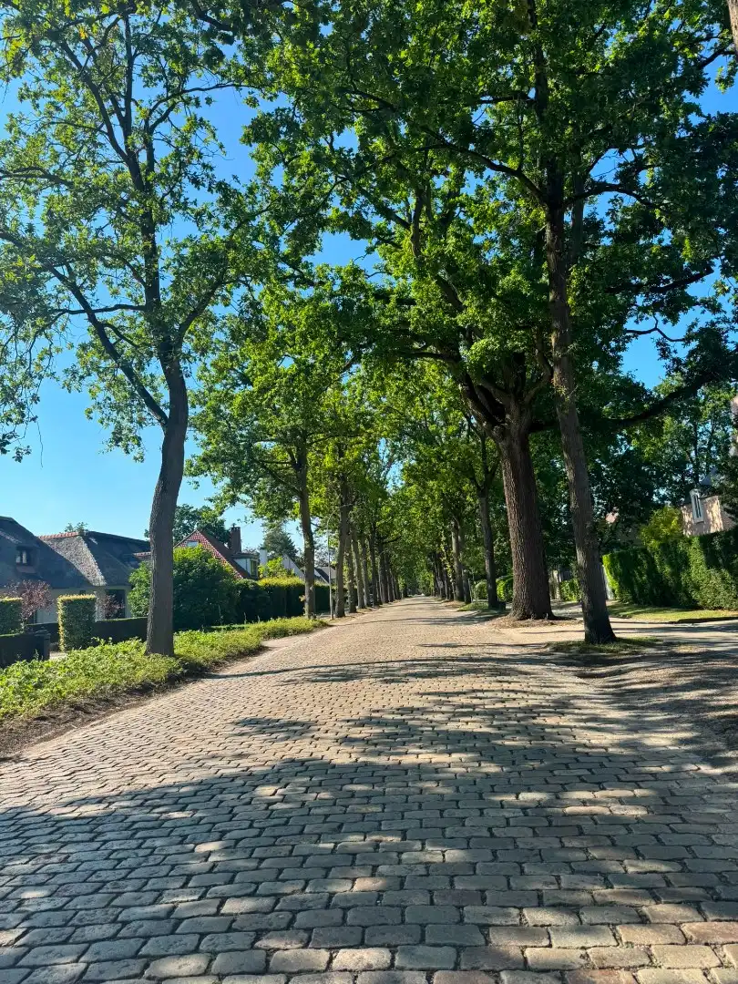 Instapklare, stijlvolle gezinswoning op toplocatie in Vriesdonk foto 18
