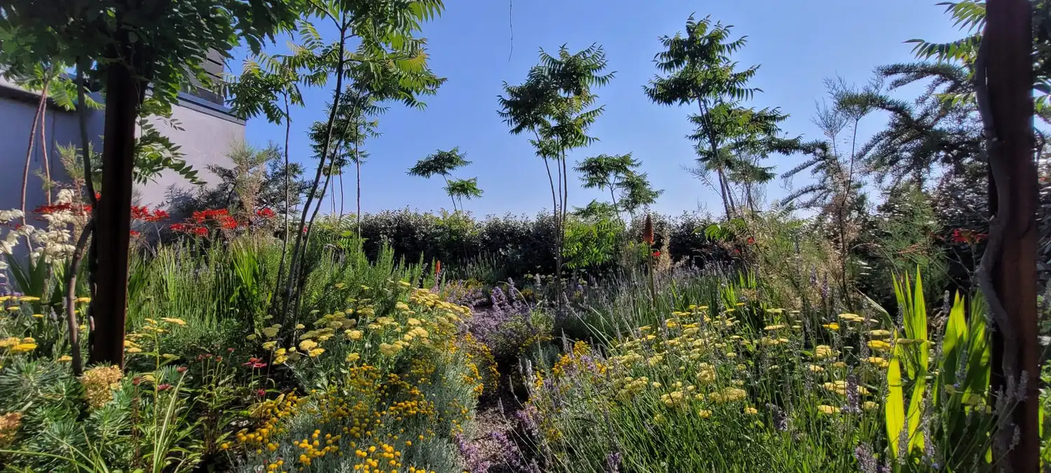 Een woning in de lucht: 'Uitzonderlijke loft 200m² + aangelegde daktuin, terras en 2 optionele garages in rustig, groen woonerf op de grens Borgerhout/Antwerpen' foto 37