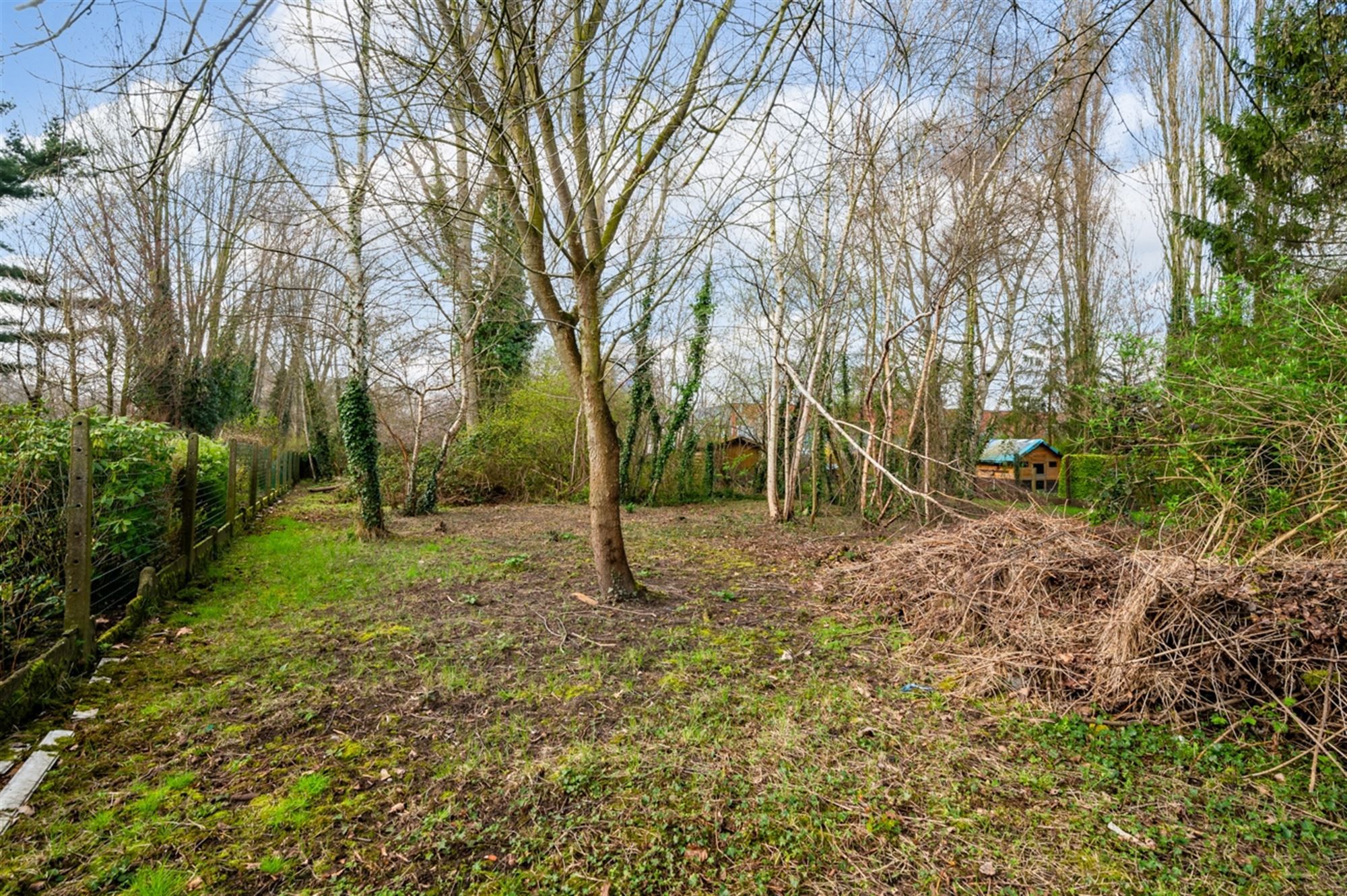 Gerenoveerde woning met 4 slaapkamers en grote tuin! foto 15