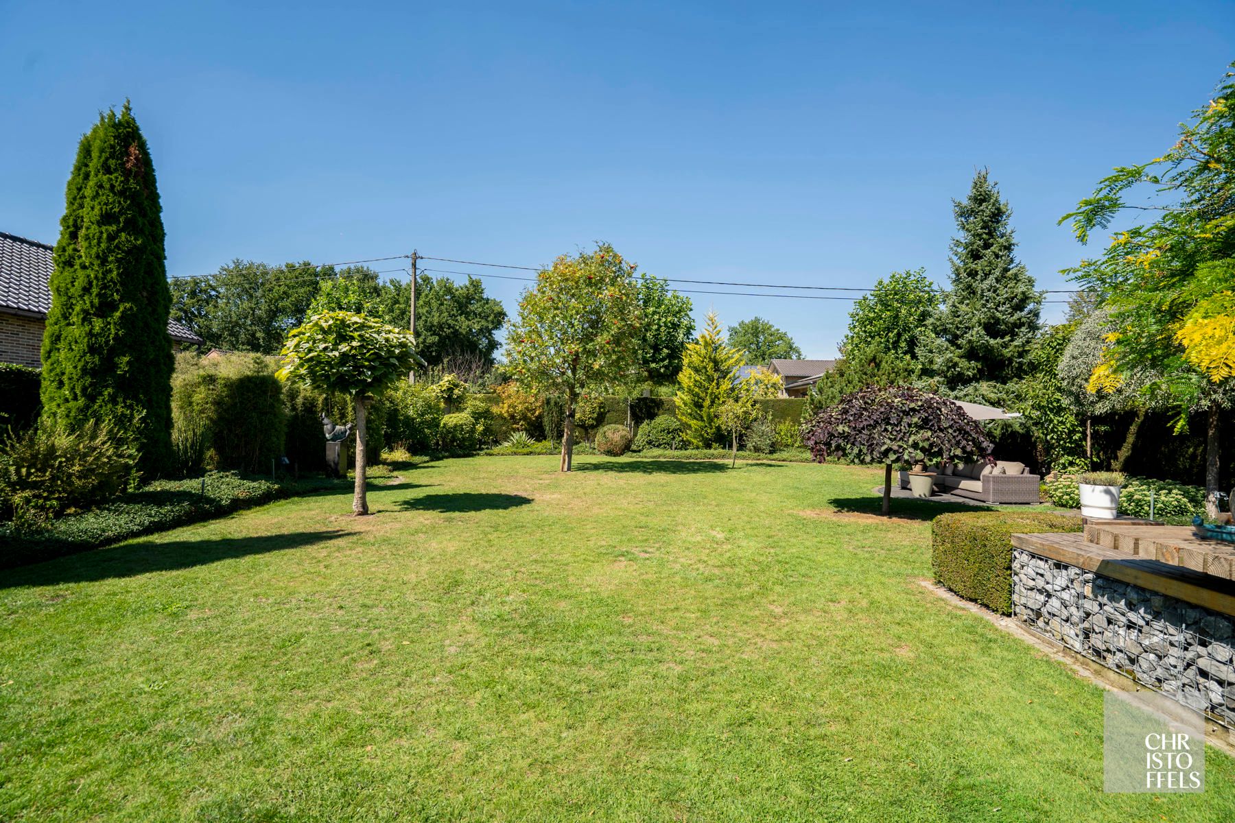 Energiezuinige villa (262m²) in een bosrijke, residentiële omgeving te Zutendaal!  foto 11