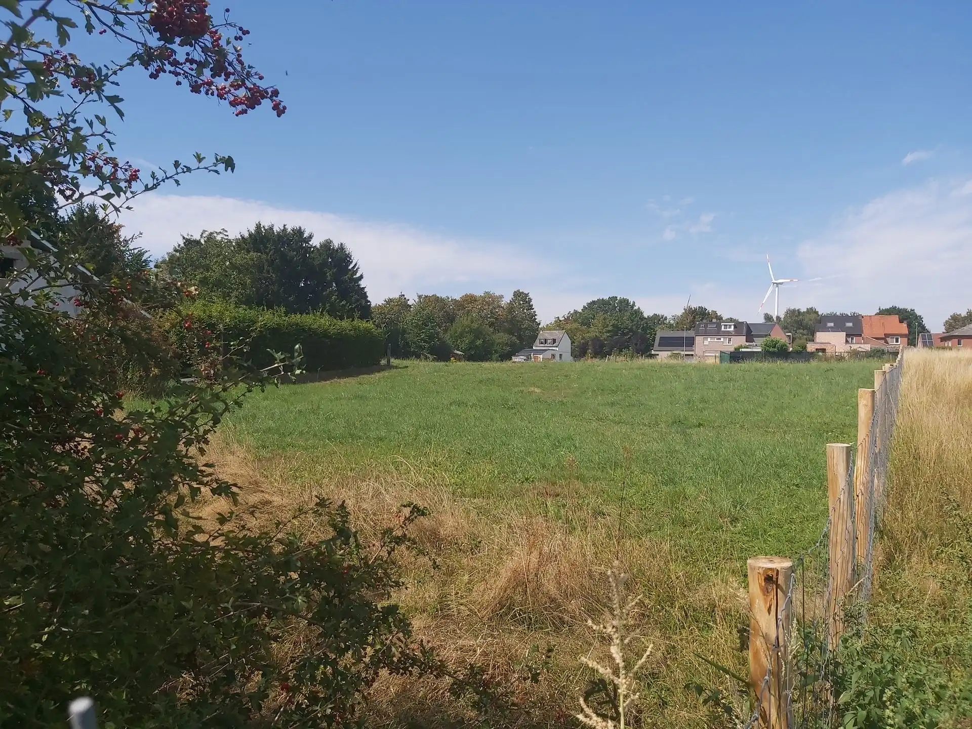 Ruime bouwgrond van 26a37ca  landelijk gelegen in Boorsem (Maasmechelen)! foto 2