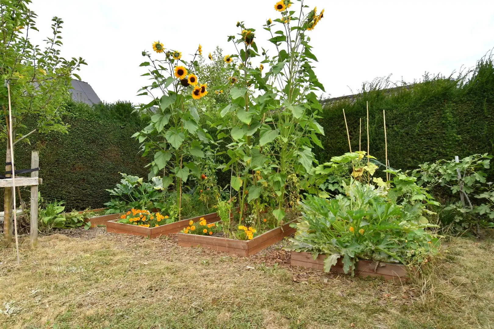 Charmante alleenstaande woning met 3 slaapkamers, tuin en garage in een rustige straat te Rollegem foto 21