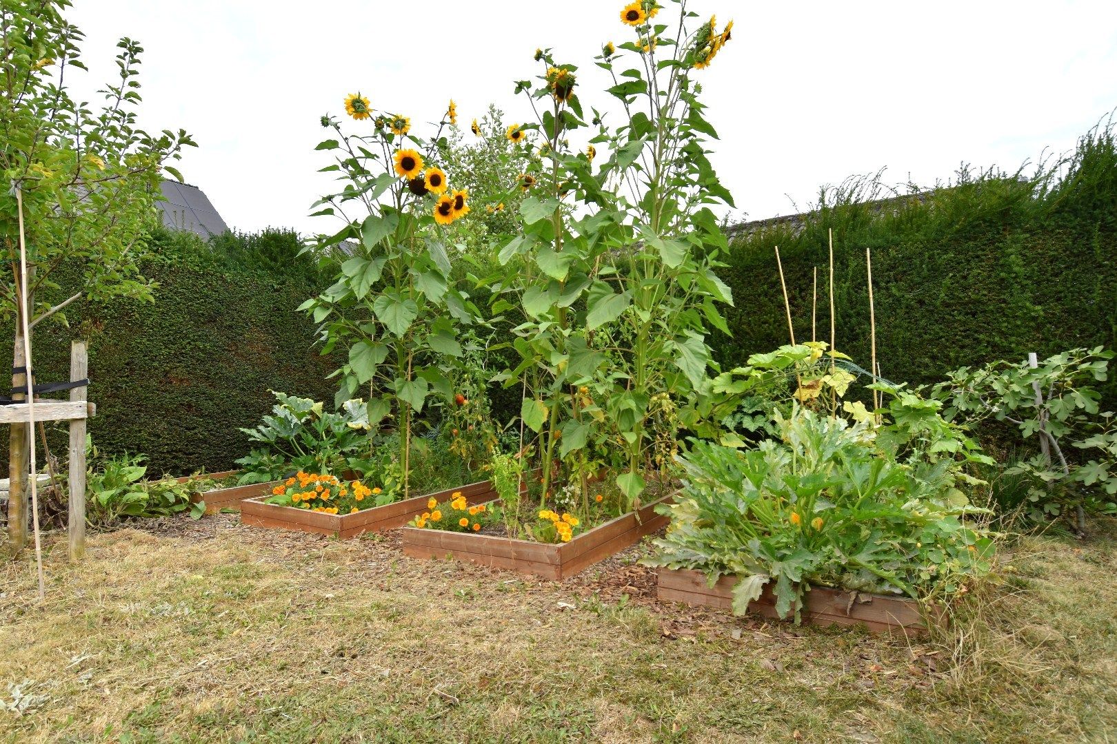 Charmante alleenstaande woning met 3 slaapkamers, tuin en garage in een rustige straat te Rollegem foto 21