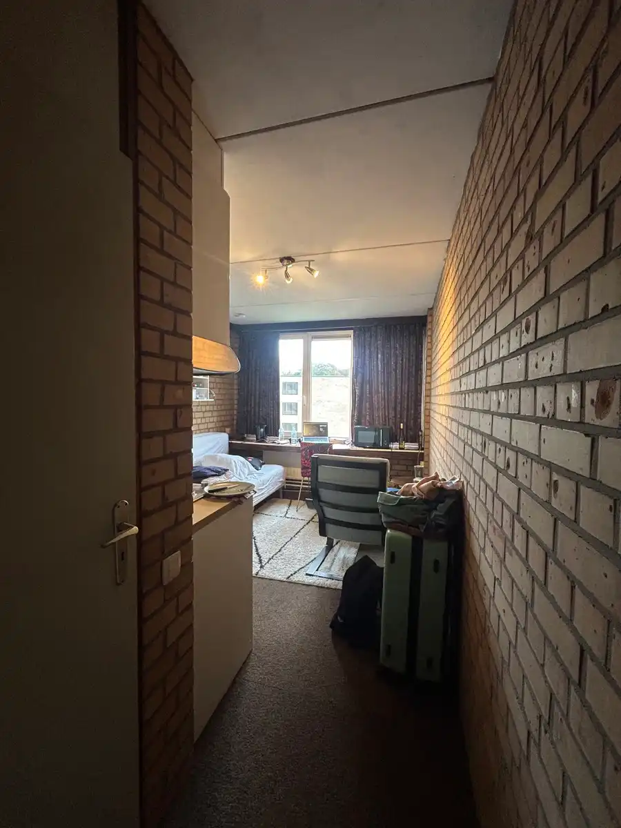 Eenvoudig maar revolutionair studeren foto 7