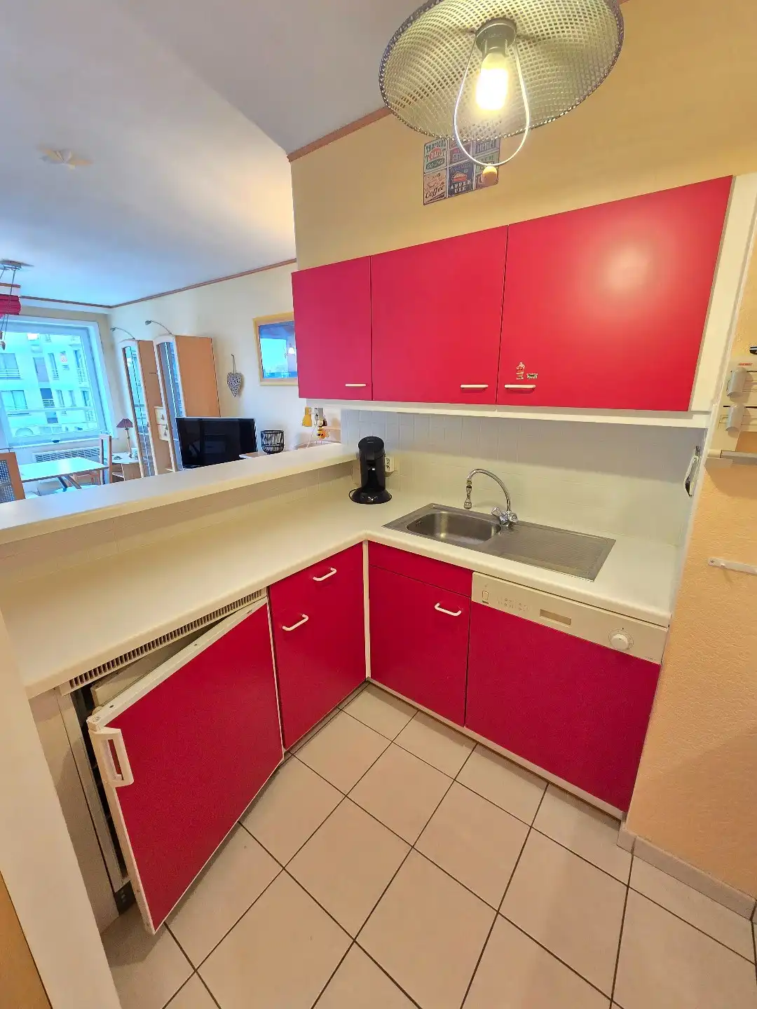 Appartement 1 slpk + slaaphoek foto 10