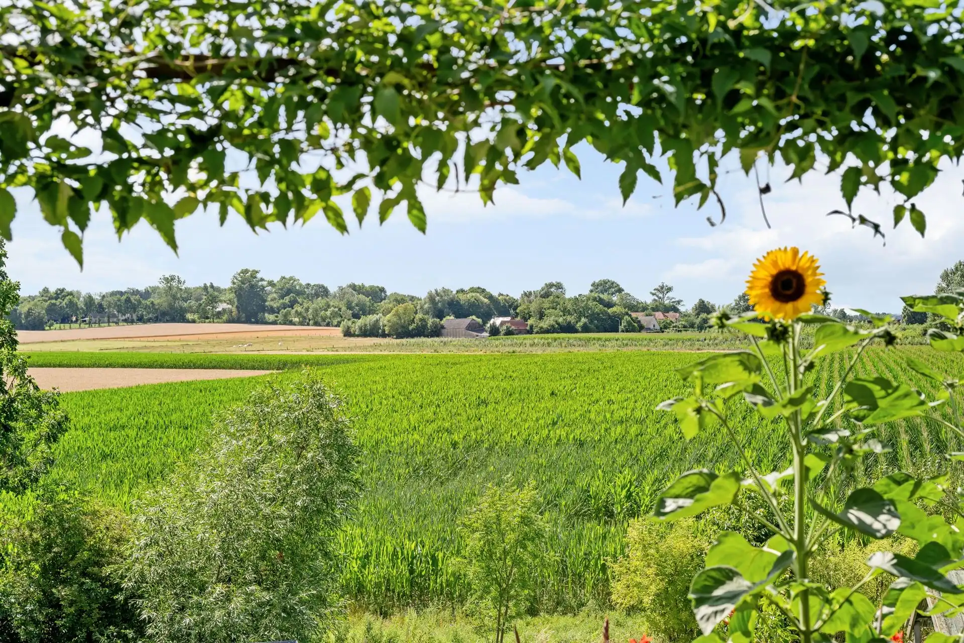Boerderij te koop 9700 Oudenaarde