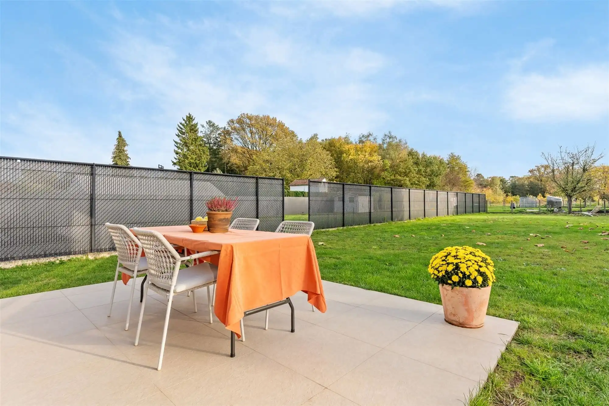 COMPLEET GERENOVEERDE WONING OP PERCEEL VAN BIJNA 9 ARE VLAK BIJ ZOLDER CENTRUM, OMGEVEN DOOR GROEN. foto 28