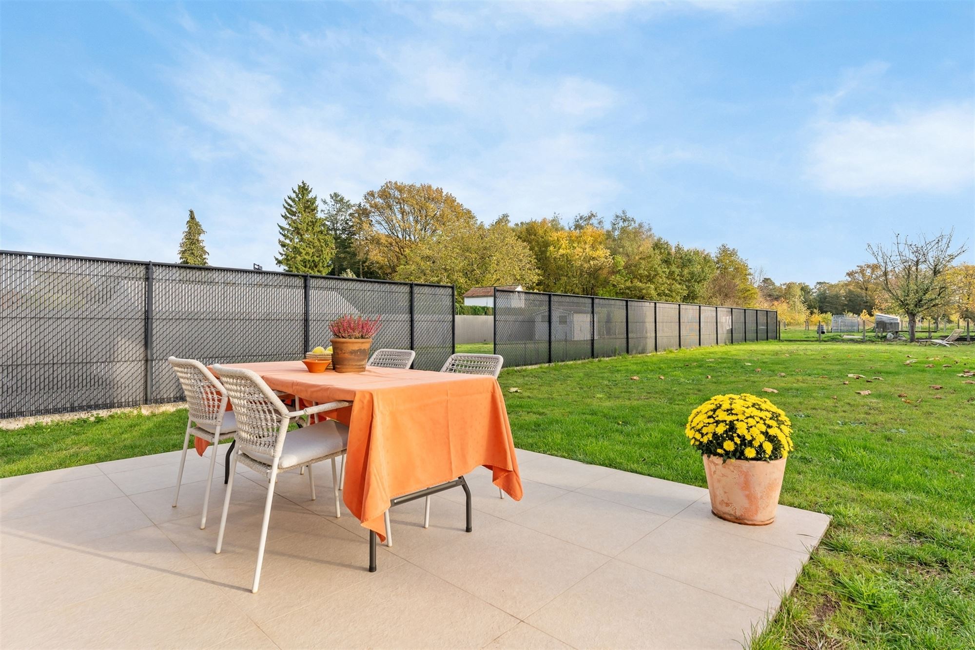 COMPLEET GERENOVEERDE WONING OP PERCEEL VAN BIJNA 8 ARE VLAK BIJ ZOLDER CENTRUM, OMGEVEN DOOR GROEN. foto 28