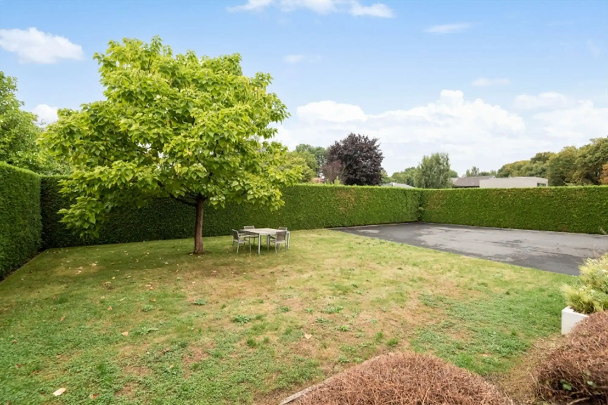 Multifunctioneel pand in casco toestand op toplocatie te Aalst. foto 12