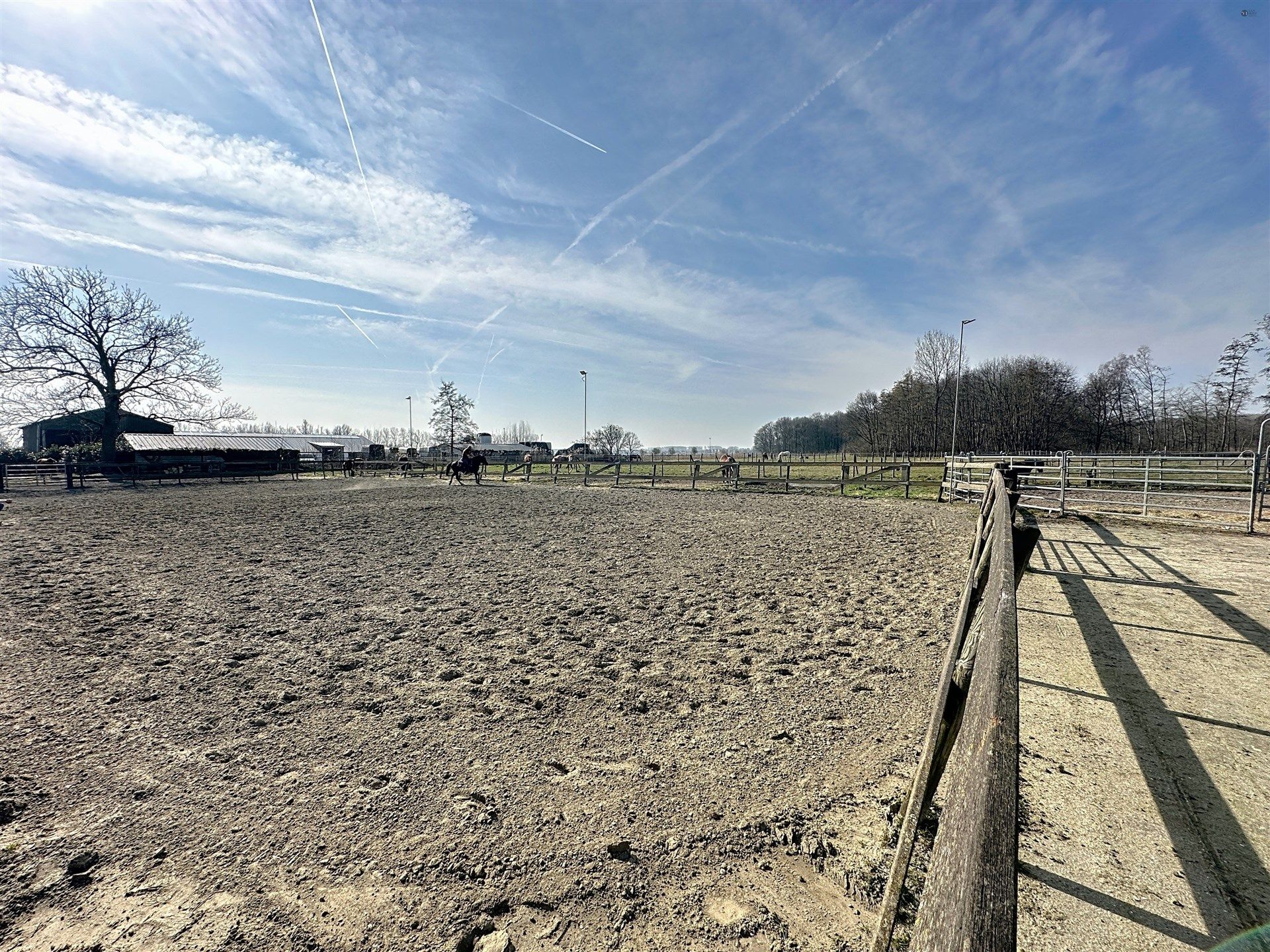 PRACHTIG GELEGEN HOEVE met bijgebouw, paardenstallen, binnenpiste en weiden op 18.385m² foto 46
