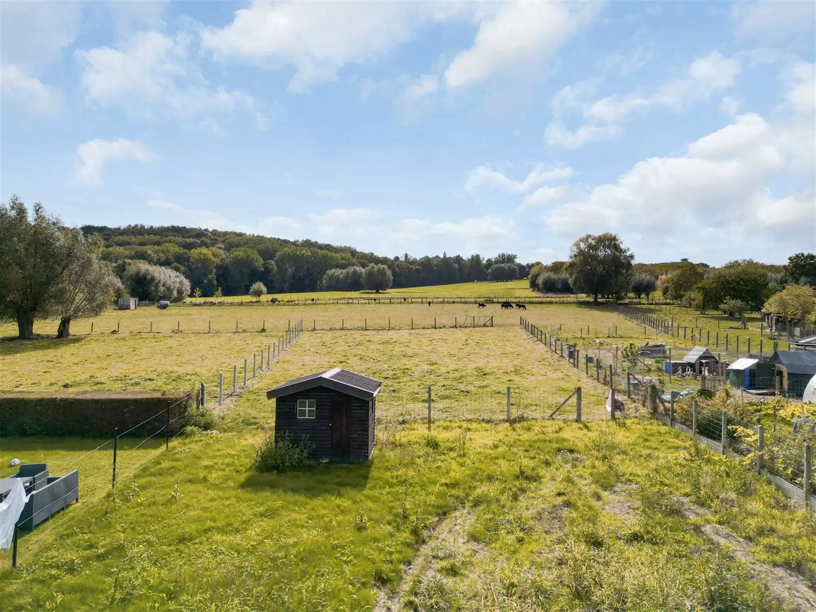 Bouwgrond voor open bebouwing foto 6