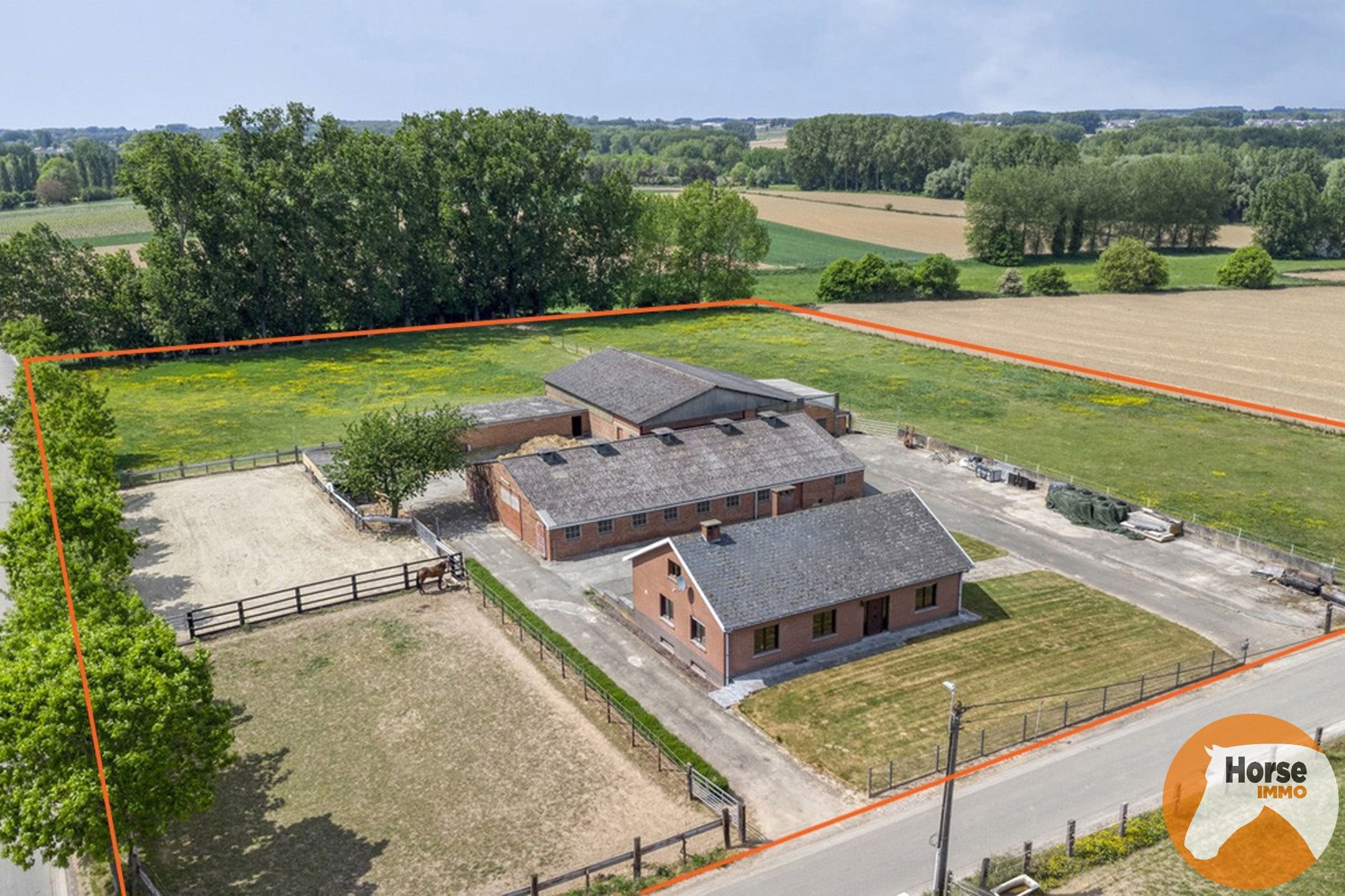 Hoofdfoto van de publicatie: WOUBRECHTEGEM - Charmante woning met 2 loodsen op 1,61 ha 