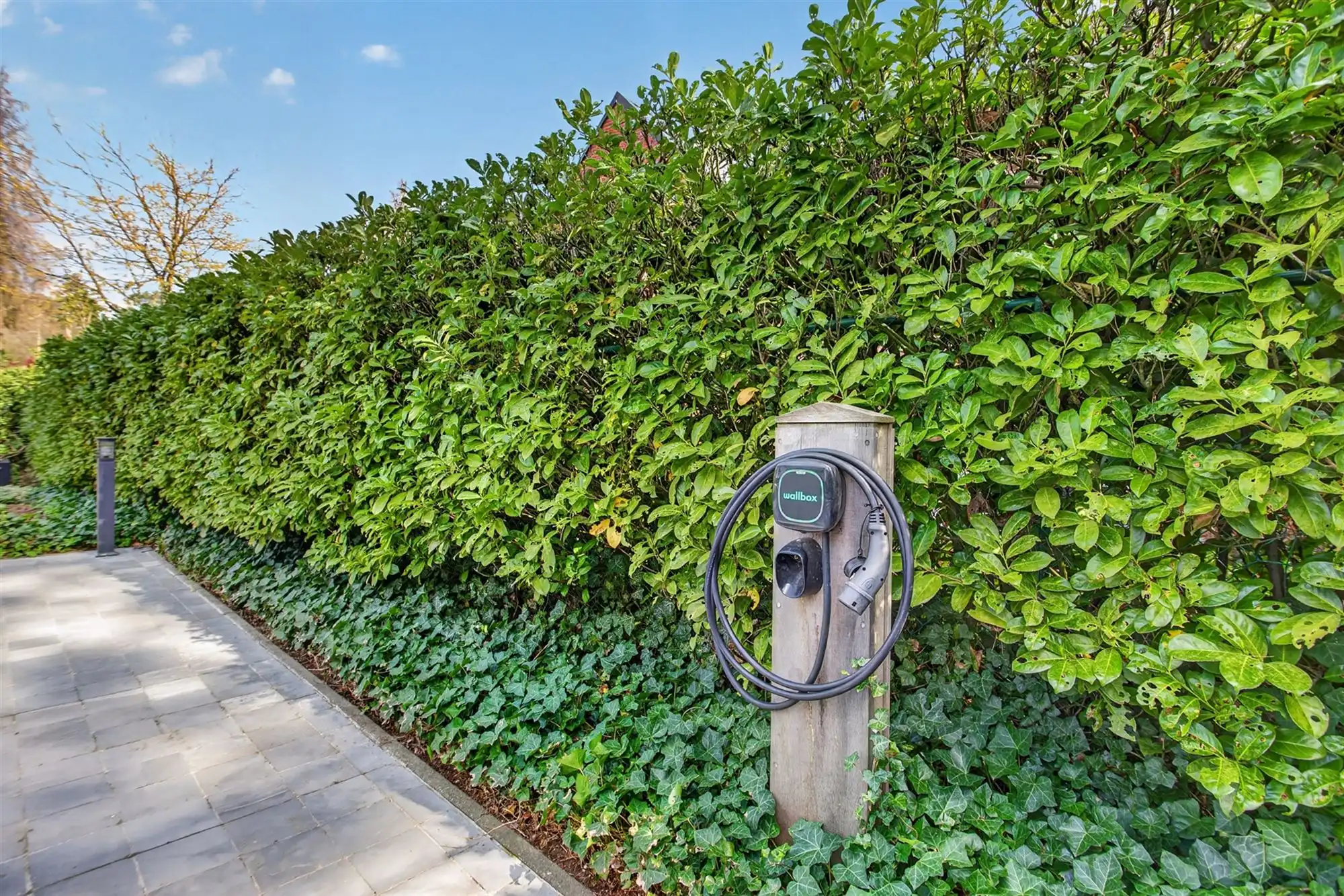 Ruime villa met zuidgerichte tuin en maximale privacy foto 12