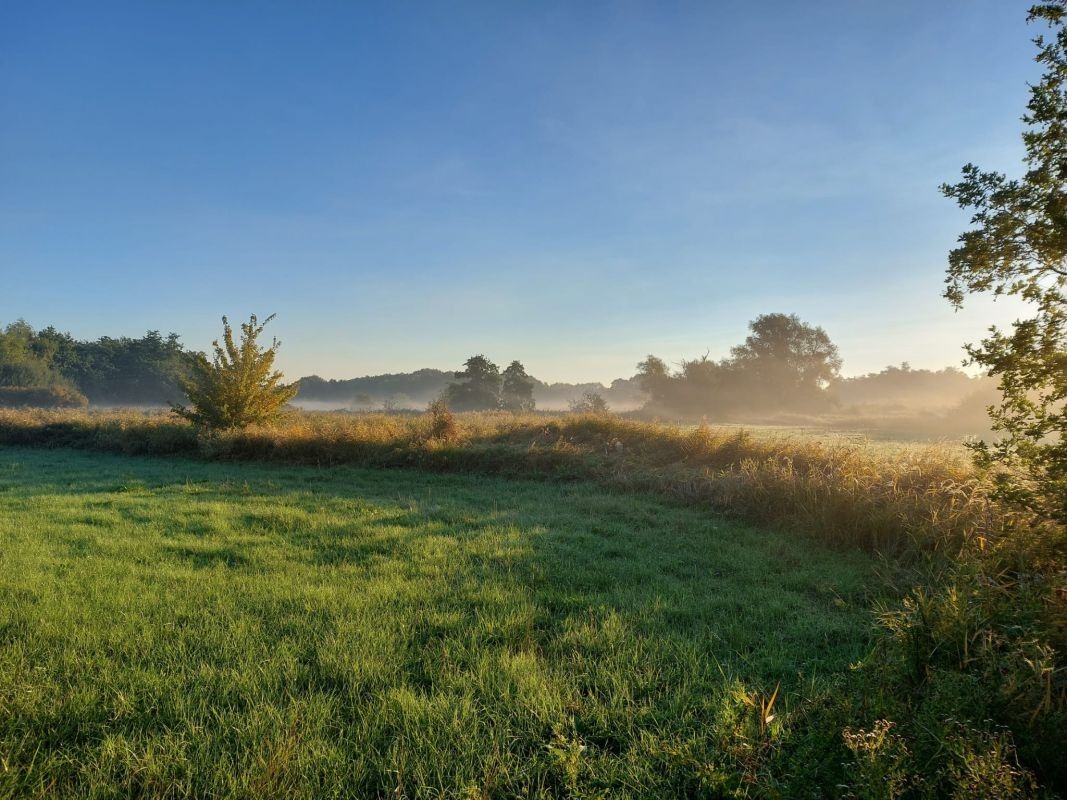 In dorpskern gelegen hoeve te koop te Hoevenen (Stabroek) foto 15