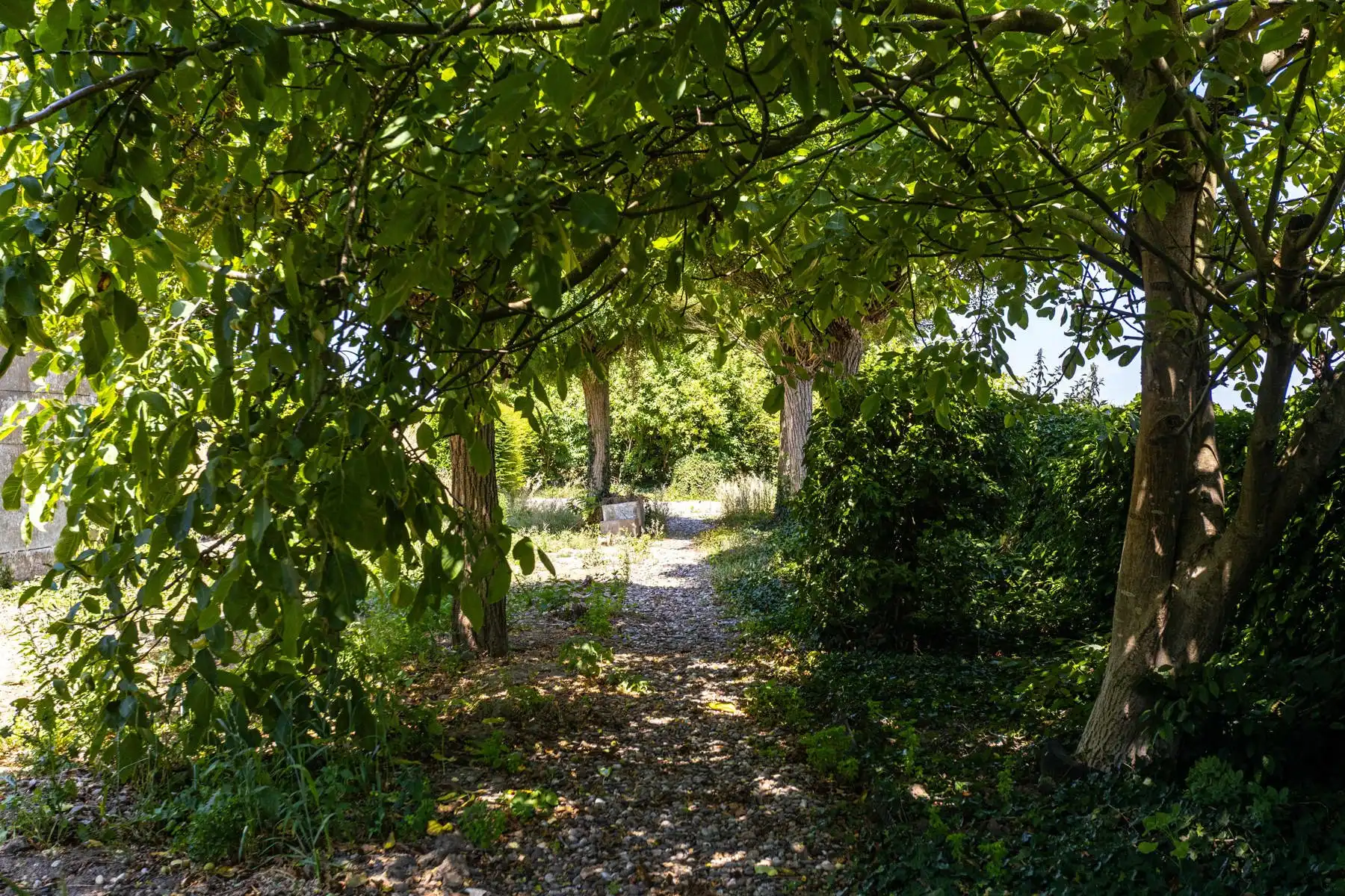 Te renoveren woning met grote tuin en atelier op toplocatie! foto 3
