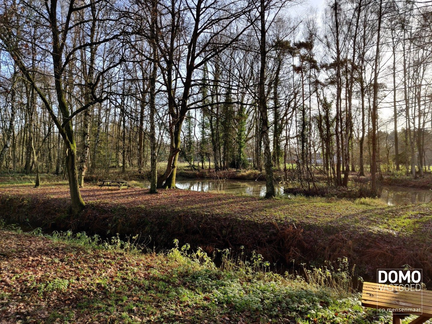 Weiland met aangrenzende vijver en bos. foto 6