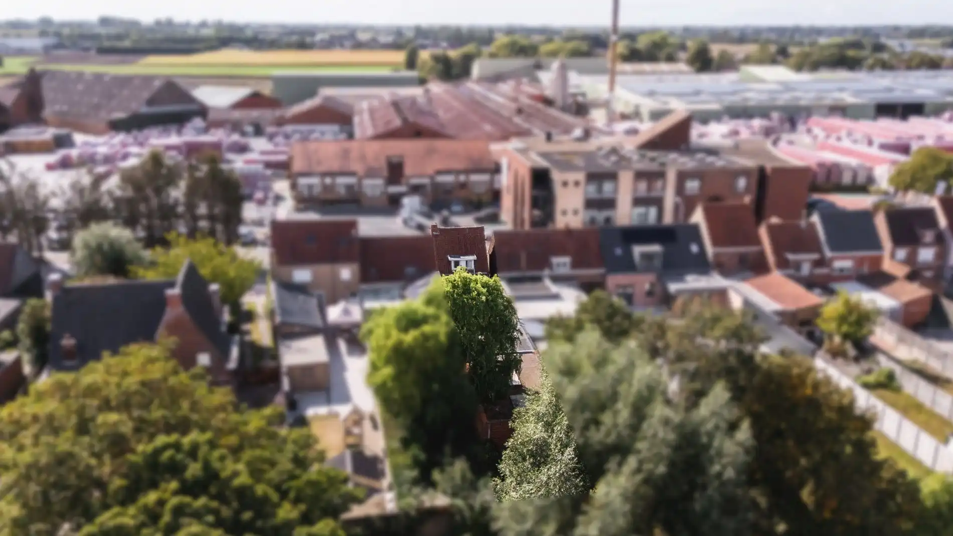 Grote te renoveren woning met zijdeur op 295 m² foto 2