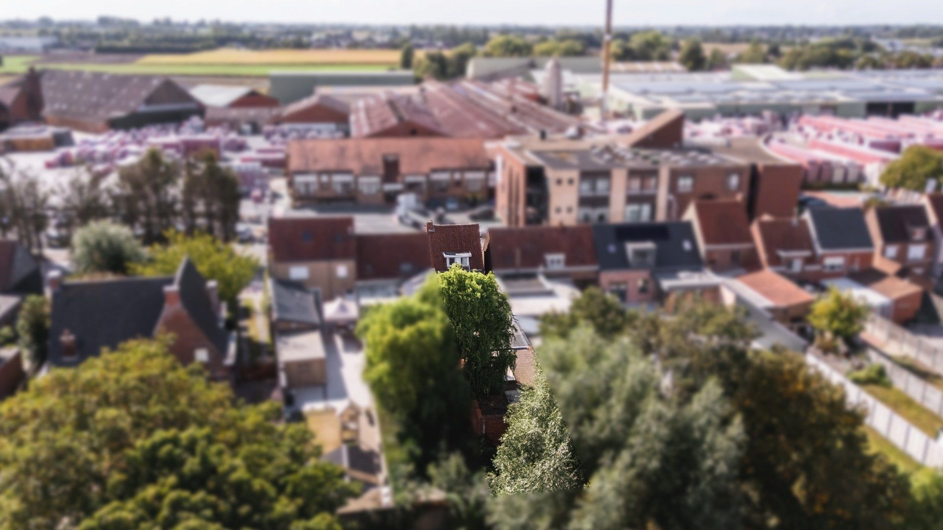 Grote te renoveren woning met zijdeur op 295 m² foto 2