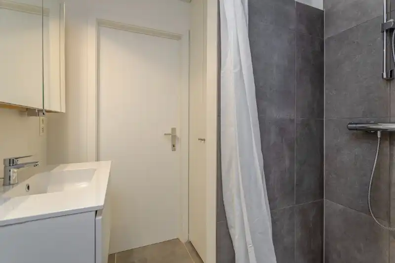 recent gerenoveerd 1-slaapkamer appartement te Eeklo foto 6