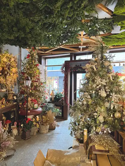 HANDELSPAND MET WOONST OP TOPLOCATIE TE DIEST! foto 5