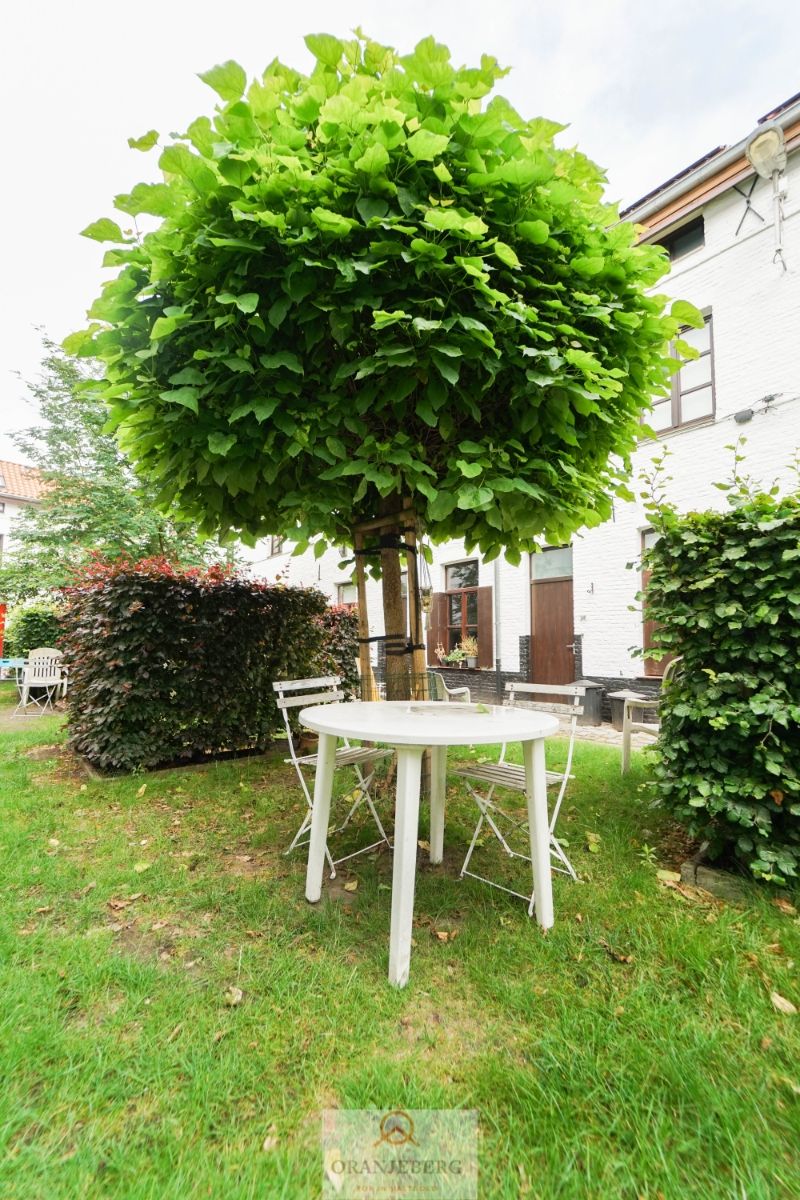 Charmante gerenoveerde woning met terras op topligging! foto 30