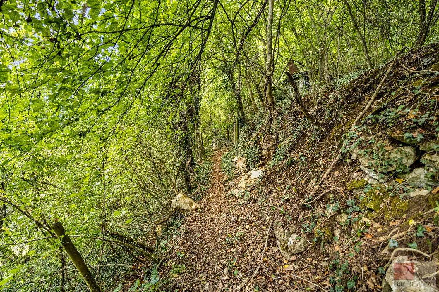 Uitzonderlijke boswoning foto 24