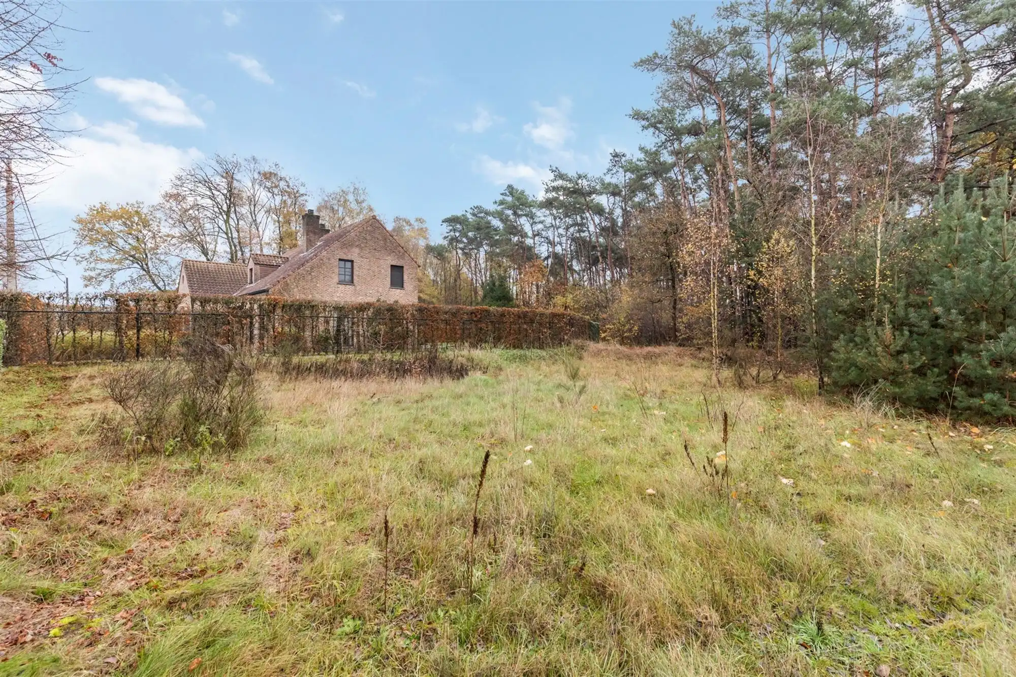 UNIEKE BOUWGROND VAN 1193M2 MET 34M STRAATBREEDTE!  foto 3