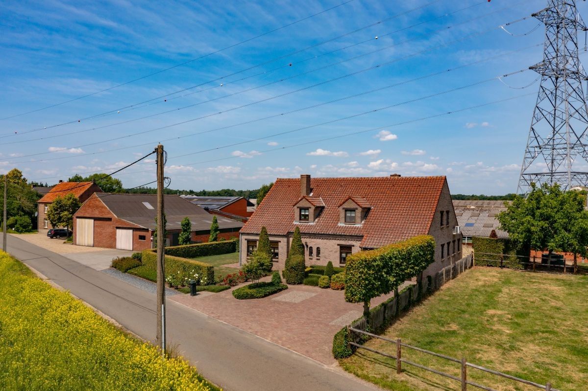 Hoeve met gronden te koop te Kinrooi foto 5