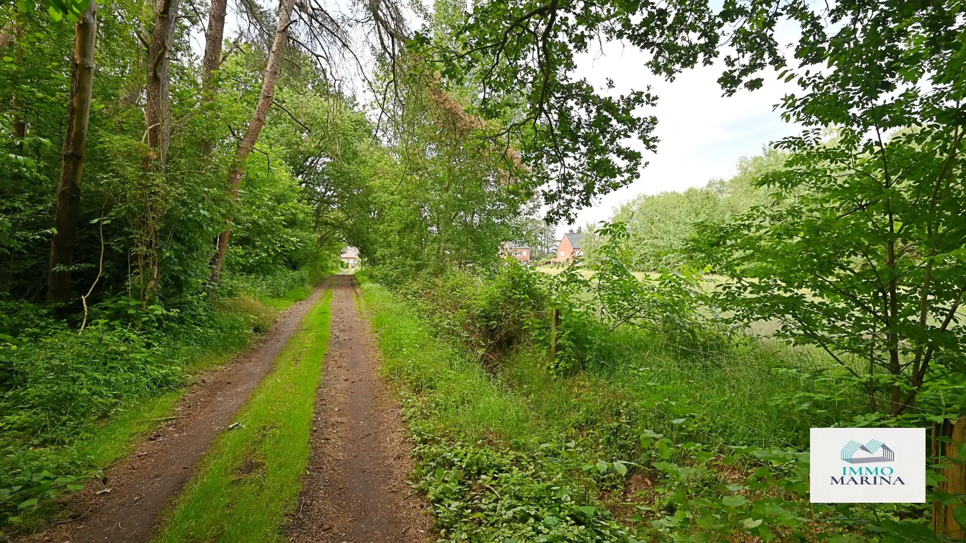 Landbouwgrond / paardenweide te koop te Baal foto 14