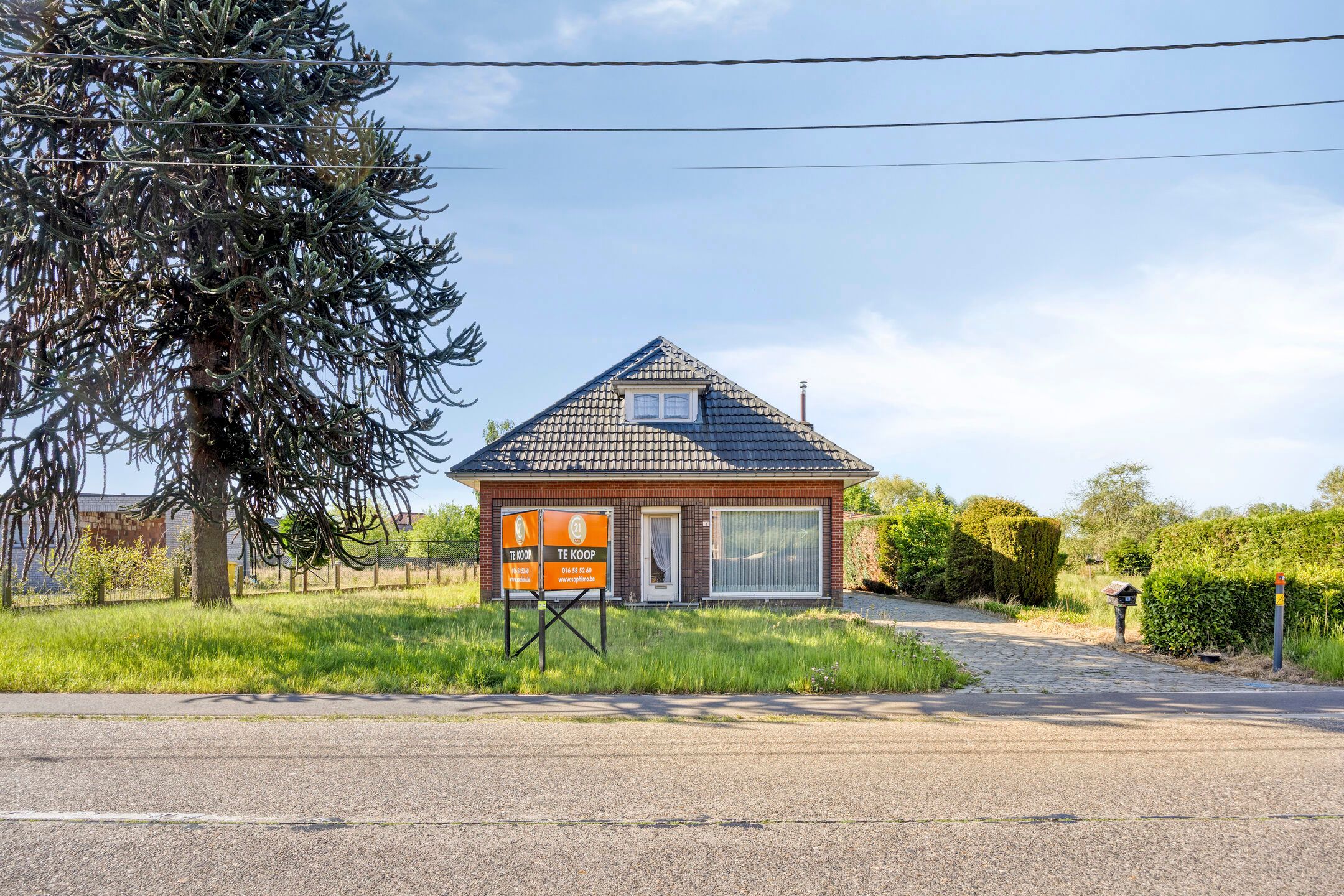 Hoofdfoto van de publicatie: Te renoveren woning op prachtig perceel van 19a54
